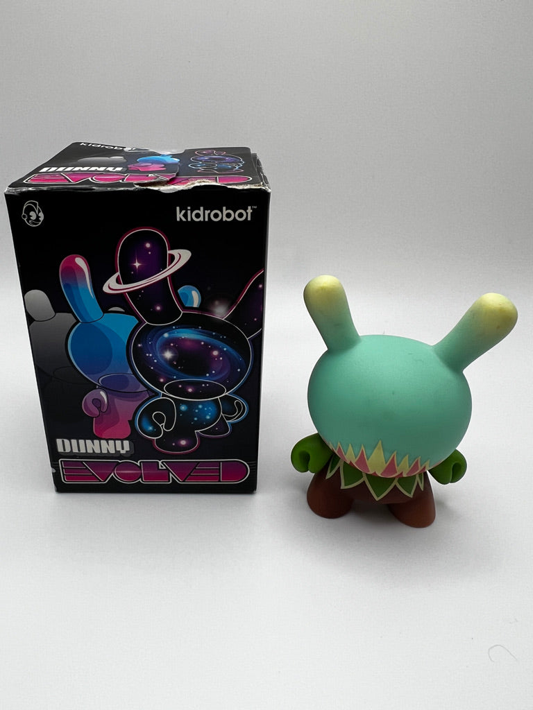Kidrobot Dunny Series