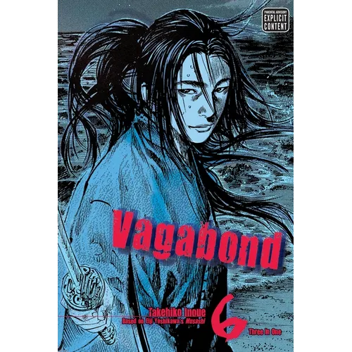 Vagabond (Vizbig Edition), Vol. 6