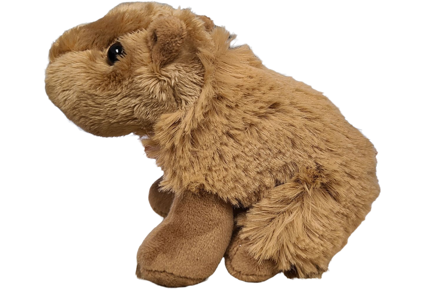 Steve the Canned Capybara | Stuffed Animal Plush w/Jokes: Pop Top Lid