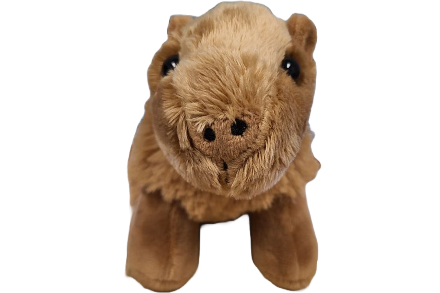 Steve the Canned Capybara | Stuffed Animal Plush w/Jokes: Pop Top Lid