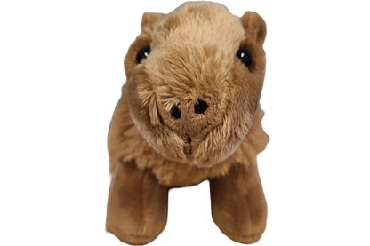Steve the Canned Capybara | Stuffed Animal Plush w/Jokes: Pop Top Lid