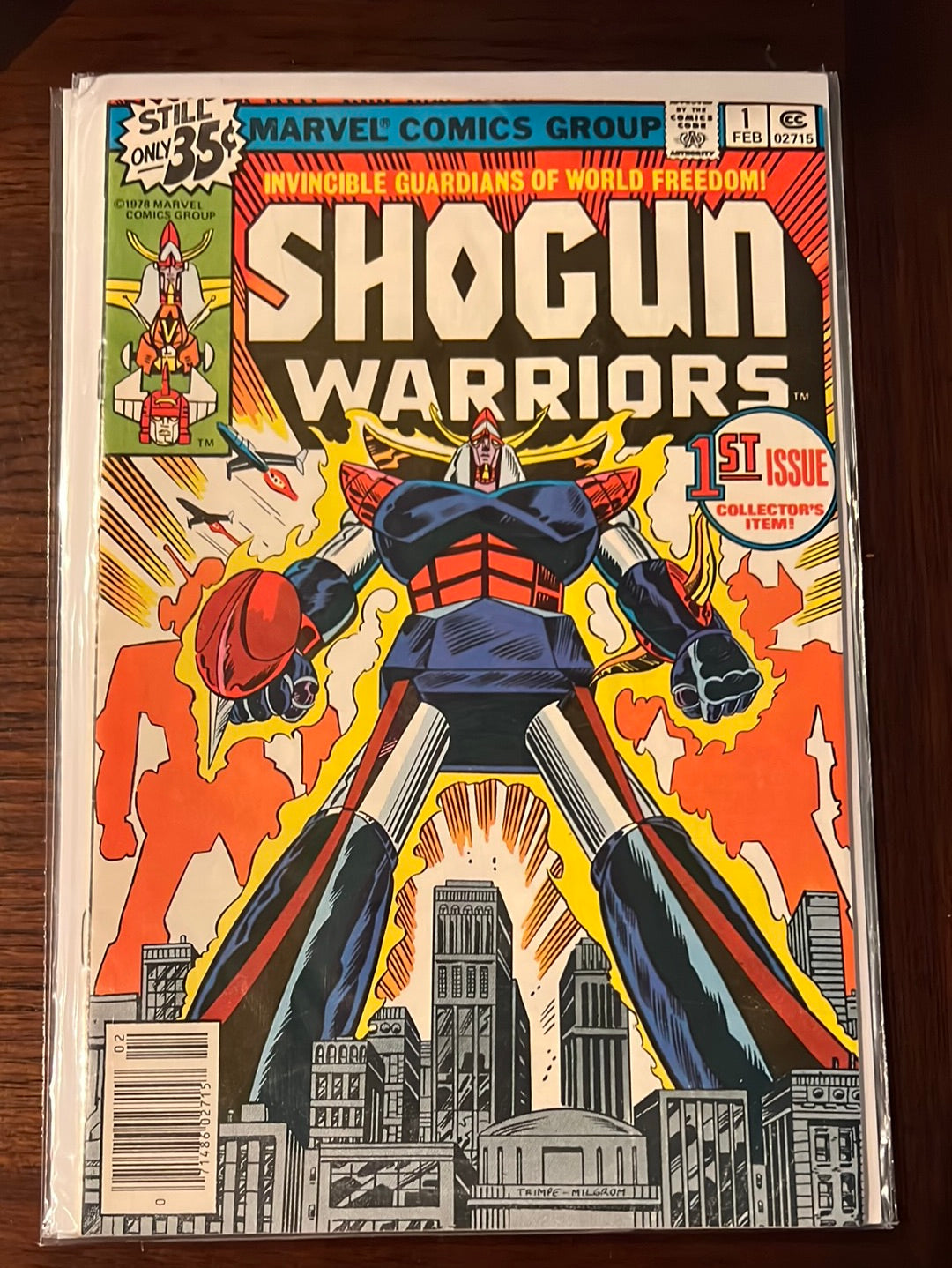 Guerriers Shoguns