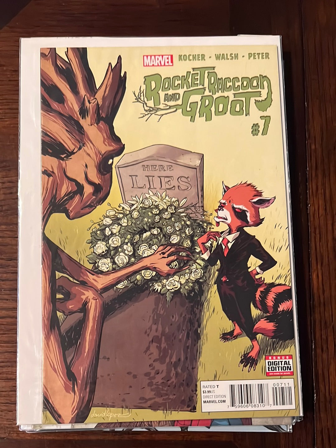 Rocket Raccoon et Groot v1