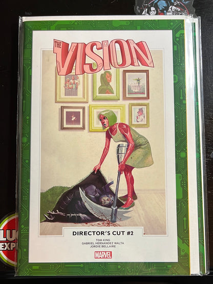 Vision & Scarlet Witch titles